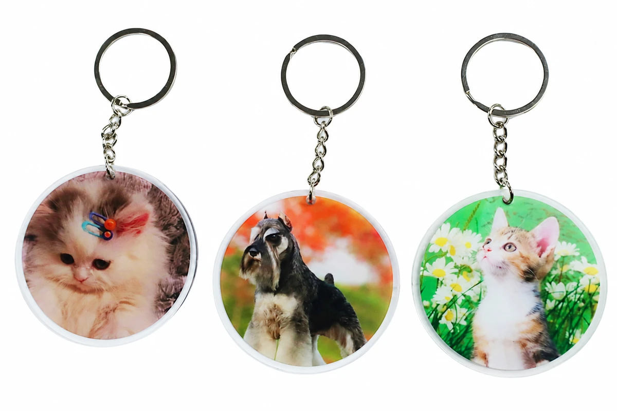 Three round acrylic keychains printed with cat and dog photographs.
